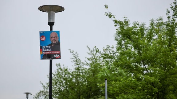 Ein Wahlplakat der AfD hängt ganz oben an einem Laternenpfahl.