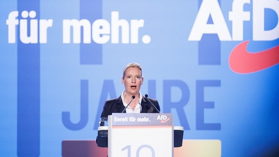 Alice Weidel, AfD-Bundesvorsitzende und Fraktionsvorsitzende der AfD