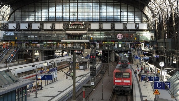 Regionalbahn und ICE im Hauptbahnhof, Hamburg