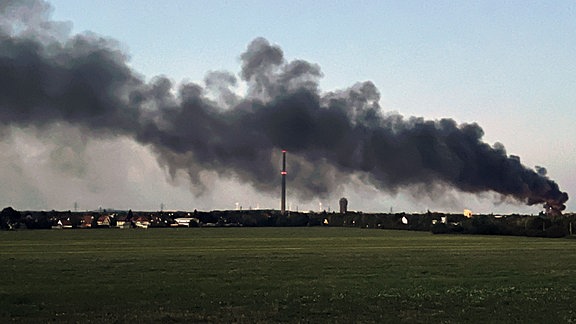 Eine große Rauchwolke bildet sich bei einem Feuer über dem Gelände eines Abfallentsorgungsbetriebs. 