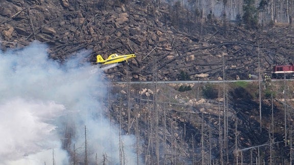 Ein Löschflugzeug am Brocken beim löschen.