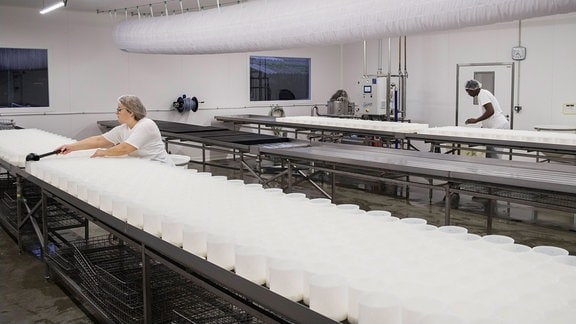 Frauen arbeiten 2021 in einer Käserei in Terres-de-Caux