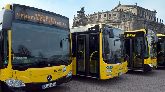 Zwölf überlange neue Busse der Dresdner Verkehrsbetriebe (DVB) stehen am 09.02.2017 zur Präsentation auf dem Theaterplatz in Dresden (Sachsen).