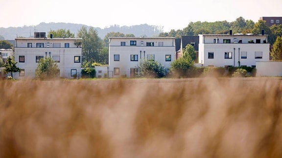 Einfamilienhäuser und Reihenhäuser stehen an einem Feldrand