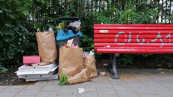 Viel Müll neben Müllemeiner in einem Park