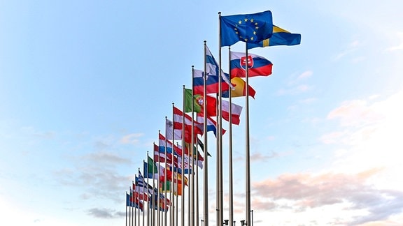 Europaflagge die Flaggen der EU-Mitgliedsländer vor dem Europäischen Parament.