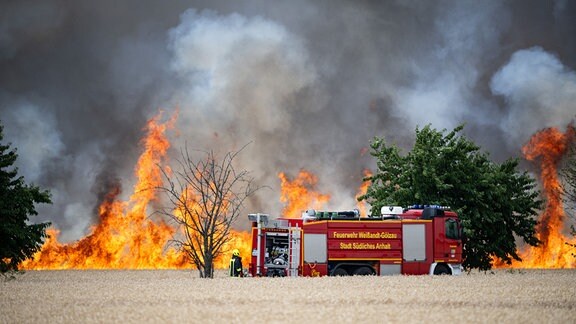 Ein Feuerwehrauto steht vor einem Feldbrand in der Nähe der Stadt Zörbig. 