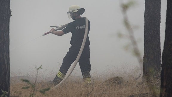Feuerwehr bei der Bekämpfung eines Wald- und Waldbodenbrandes