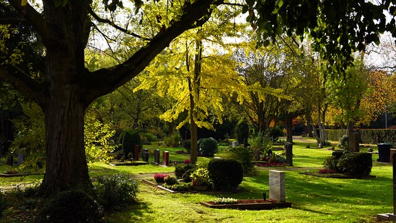 Gräber liegen auf dem Nordfriedhof unter Bäumen mit buntem Herbstlaub.