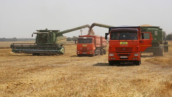 Landwirte ernten mit ihren Mähdreschern Weizen auf einem Weizenfeld in der Nähe des Dorfes Tbilisskaya in Russland. 