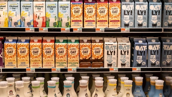Verschiedene Hafermilchprodukte in einem Supermartregal