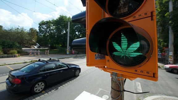 Der negative Scherenschnitt eines Cannabis-Blattes ist auf das Grün einer Behelfsampel in Leipzig geklebt.