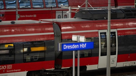 Züge stehen am Morgen im Hauptbahnhof Dresden.