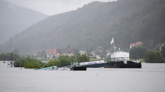 Schiffsanleger sind in Bad Schandau in der Sächsischen Schweiz vom Wasser der Elbe umspült. 