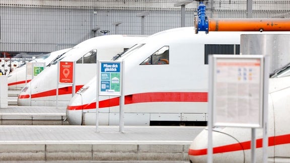 Mehrere ICEs stehen im Hauptbahnhof in München