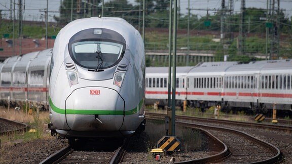 ICE-Züge der Deutschen Bahn stehen im Bereich des Hauptbahnhofs. Nachdem eine Machbarkeitsstudie zu dem Ergebnis gekommen war, dass ein Fernbahntunnel technisch realisierbar ist, sollen künftig täglich mehr als 250 Züge mehr durch einen kilometerlangen Tunnel zum Hauptbahnhof fahren können.