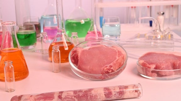 Fleisch liegt in Petrischalen und Reagenzgläsern neben bunten Flüssigkeiten. 