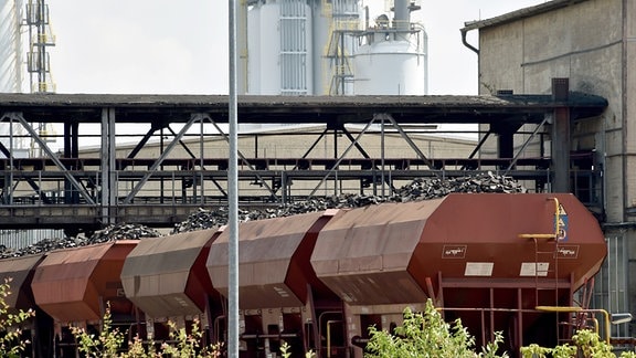 Ein Zug mit Braunkohlenbriketts steht im Industriepark Schwarze Pumpe in Spremberg (Brandenburg).