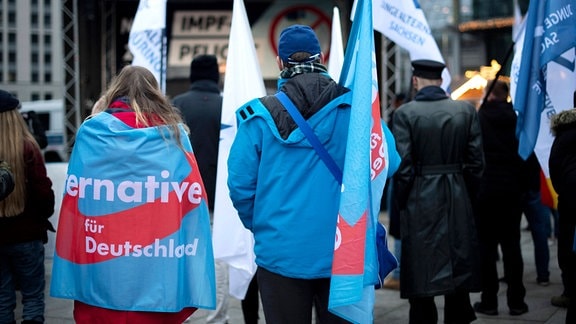 Demonstranten mit Fahne der AfD auf einer Kundgebung und Demonstration der Jungen Alternative JA, die Jugendorganisation‹ der rechtsextremen Parte