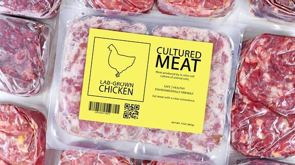 Konzeptverpackung für kultiviertes Hühnerfleisch.