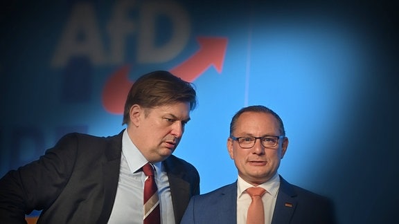 Maximilian Krah und Tino Chrupalla