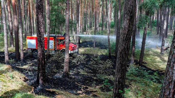 Von einem Feuerwehrfahrzeug der Bundeswehr aus löschen Feuerwehrmänner im Wald auf dem ehemaligen Truppenübungsplatz letzte Glutnester.