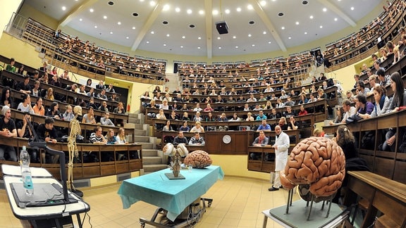 Studenten der Human- und Zahnmedizin hören im historischen Hörsaal am Institut für Anatomie der Universität in Leipzig 