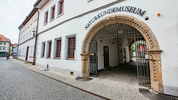 Ein großer Torbogen ist der Eingang zum Naturkundemuseum Erfurt