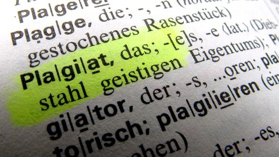 Das Wort "Plagiat" in einem Wörterbuch