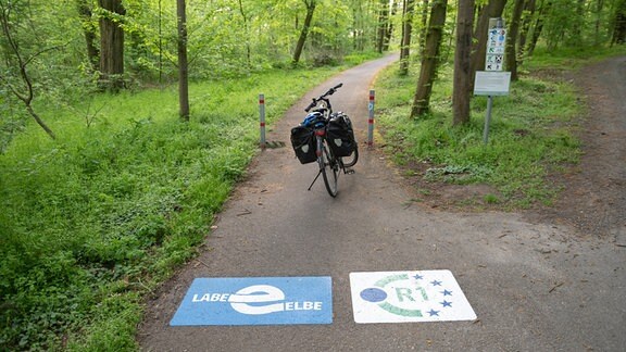 Ein Fahrrad steht auf einem Radweg, auf dem eins von zwei Logos den Schriftzug "Elbe - Labe" zeigt.