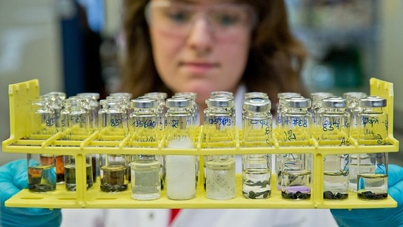 Eine Chemielaborantin beim TÜV Rheinland hält 2013 Glasröhrchen in den Händen.