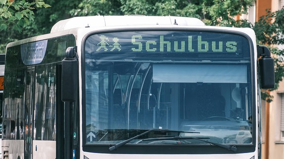Bus mit Schrift "Schulbus" über der Frontscheibe.