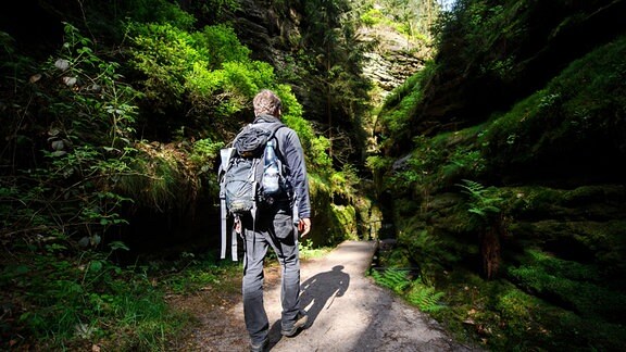 Ein Wanderer läuft in der Nähe von Rathen (Sachsen) von der Bastei kommend durch eine typische Schlucht (genannt "Schwedenlöcher") in der Nationalparkregion Sächsische Schweiz.