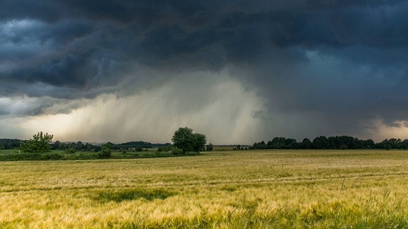 Gewitter-Superzelle mit tiefhängenden Wolken und Starkregen über Großschirma in Sachsen, Juni 2018