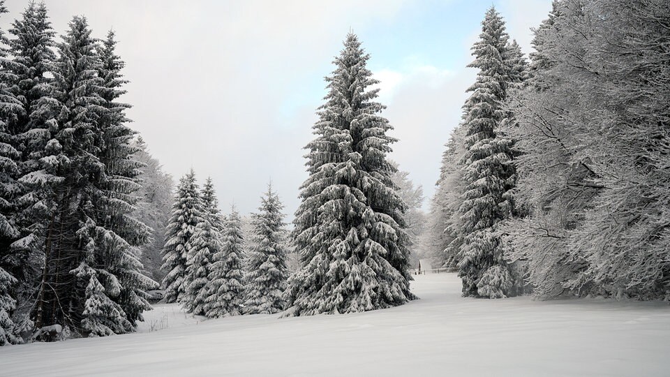 Snow, cold and more accidents: winter reaches Thuringia | MDR.DE
