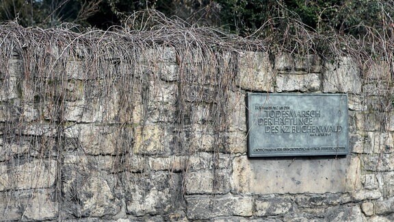 Eine Gedenktafel an einer Mauer in Jena.