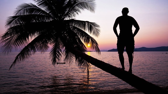 Mann steht im Abendlicht auf einer Palme am Strand.