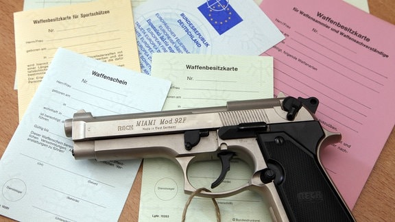 Schusswaffe, verschiedene Arten von Waffenscheinen und Waffenbesitzkarten, 2012