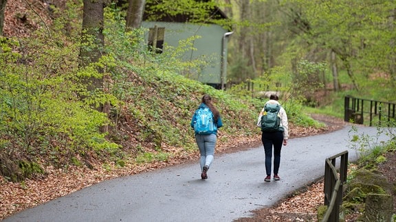 Spaziergänger gehen 2021 im Nationalpark Sächsische Schweiz einen Wanderweg entlang.