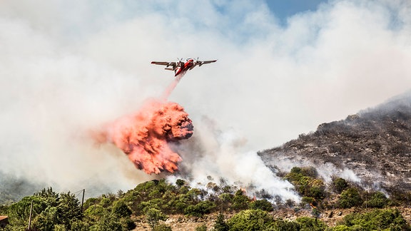 Löschflugzeug werfen 2020 Flammschutzmittel über Waldbrandgebiet ab.