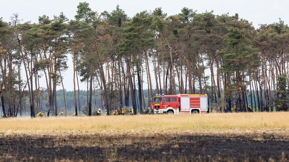 Ein Feuerwehrfahrzeug und zahlreiche Feuerwehrkameraden löschen den Waldbrand an der sächsischen-brandenburigschen Grenze im Naturschutzgebiet Gorischheide.