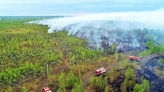 Ein Waldbrand wütet in einem Naturschutzgebiet im Bezirk Temnikovsky.