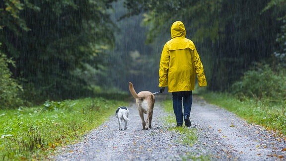 Frau beim Spaziergang mit Hunden im Regen.
