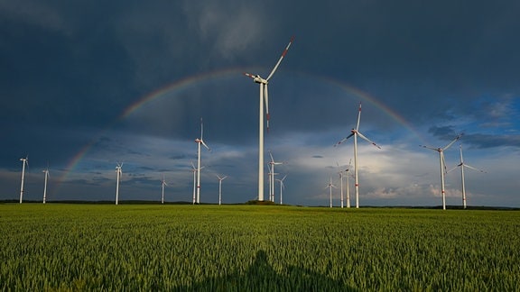 Ein Regenbogen ist vor dunklen Wolken am Abend über einer Landschaft mit einem Windenergiepark.