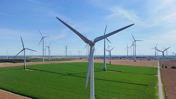 Unzählige Windräder stehen in einer Landschaft.