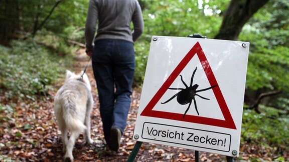 Eine Spaziergängerin mit Hund passiert ein Warnschild, das Wanderer im Waldgebiet um den Kaiserstuhl auf Rügen auf Zecken-Gefahr aufmerksam macht