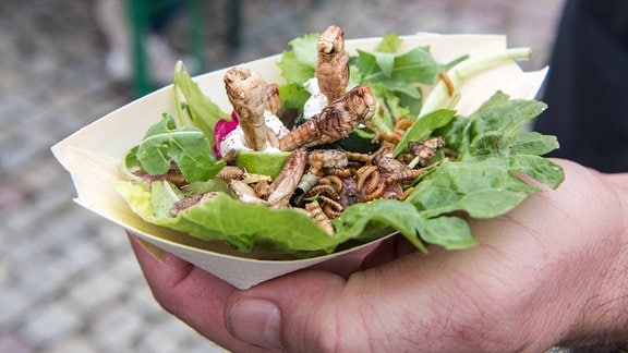 Ein Mann hält 2019 auf einer Street Food Veranstaltung eine Schale mit Heuschrecken, Mehl- und Buffalowürmern auf Salat.
