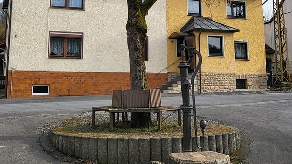 Brunnen und Sitzbank unter einem Baum