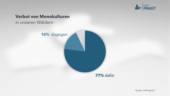 Verbot von Monokulturen  - in unseren Wäldern   