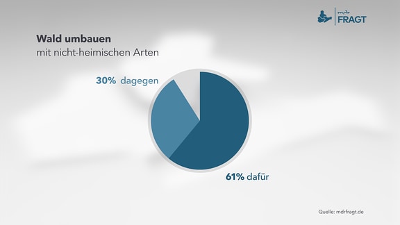 Wald umbauen - mit nicht-heimischen Arten    